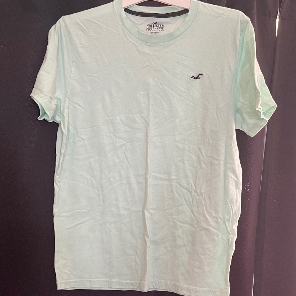 Hollister Men's Light Mint Crew Neck Tee